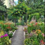 DZIAŁKA REKREACYJNA Fabryczna - zdjęcie 3