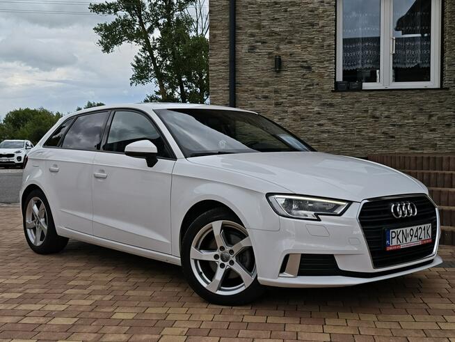 Audi A3 Sadlno - zdjęcie 1