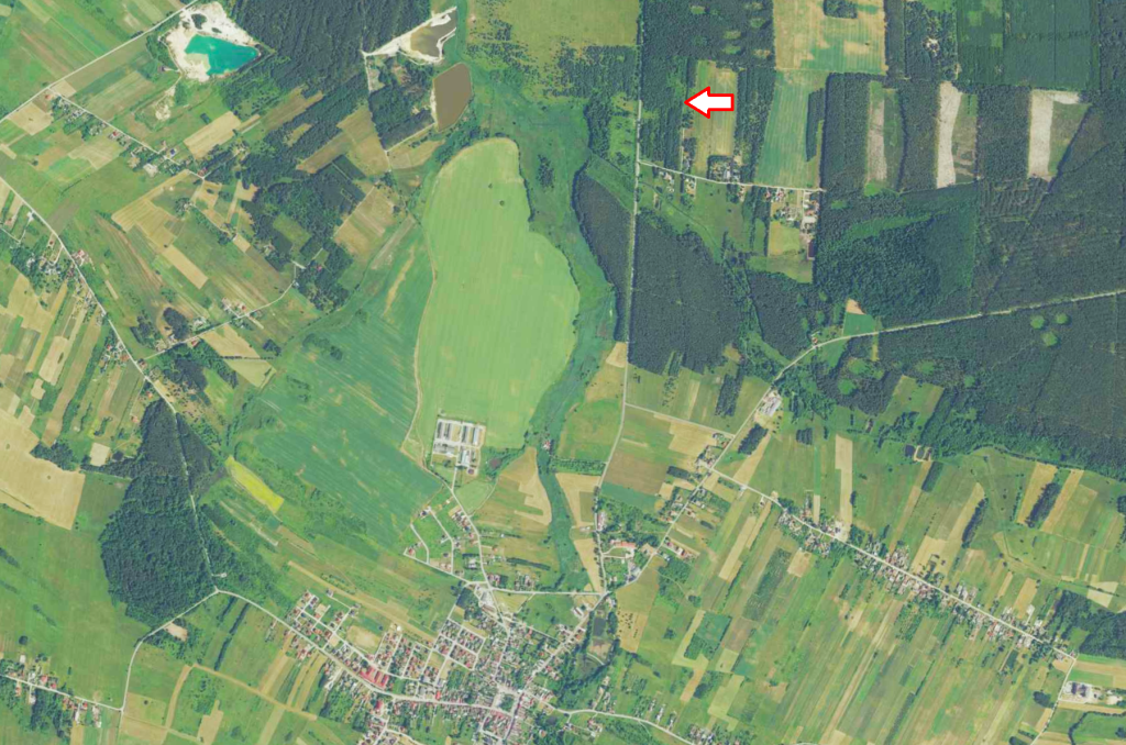 5 działek, 25 km od Kielc, uzbrojone, w otoczeniu lasów Szczecno - zdjęcie 11