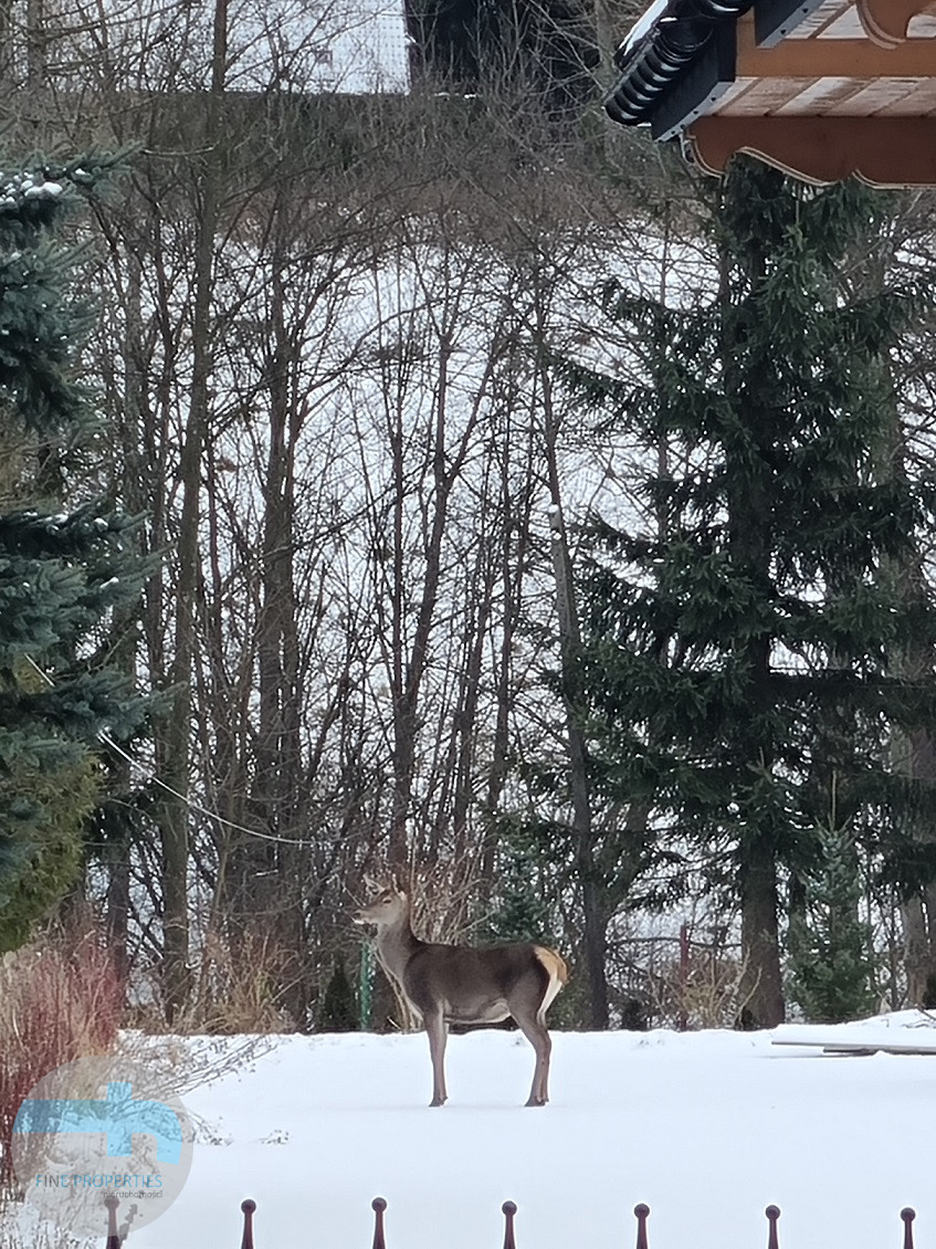 Bliźniak z pięknym widokiem na góry w miejscowości Kościelisko Kościelisko - zdjęcie 10
