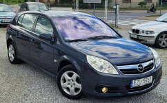 Opel Signum Skóra! Soczewka! Alu! Zamiana też! Zduńska Wola - zdjęcie 6