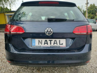 Volkswagen Golf Navi* Parktronik Bydgoszcz - zdjęcie 3