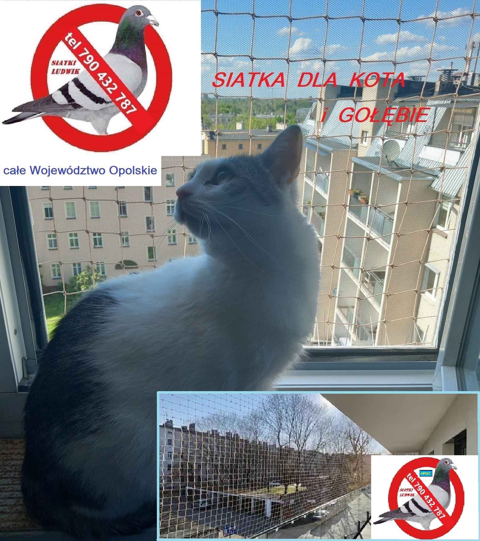 SIATKA BALKON OPOLE Opole - zdjęcie 1
