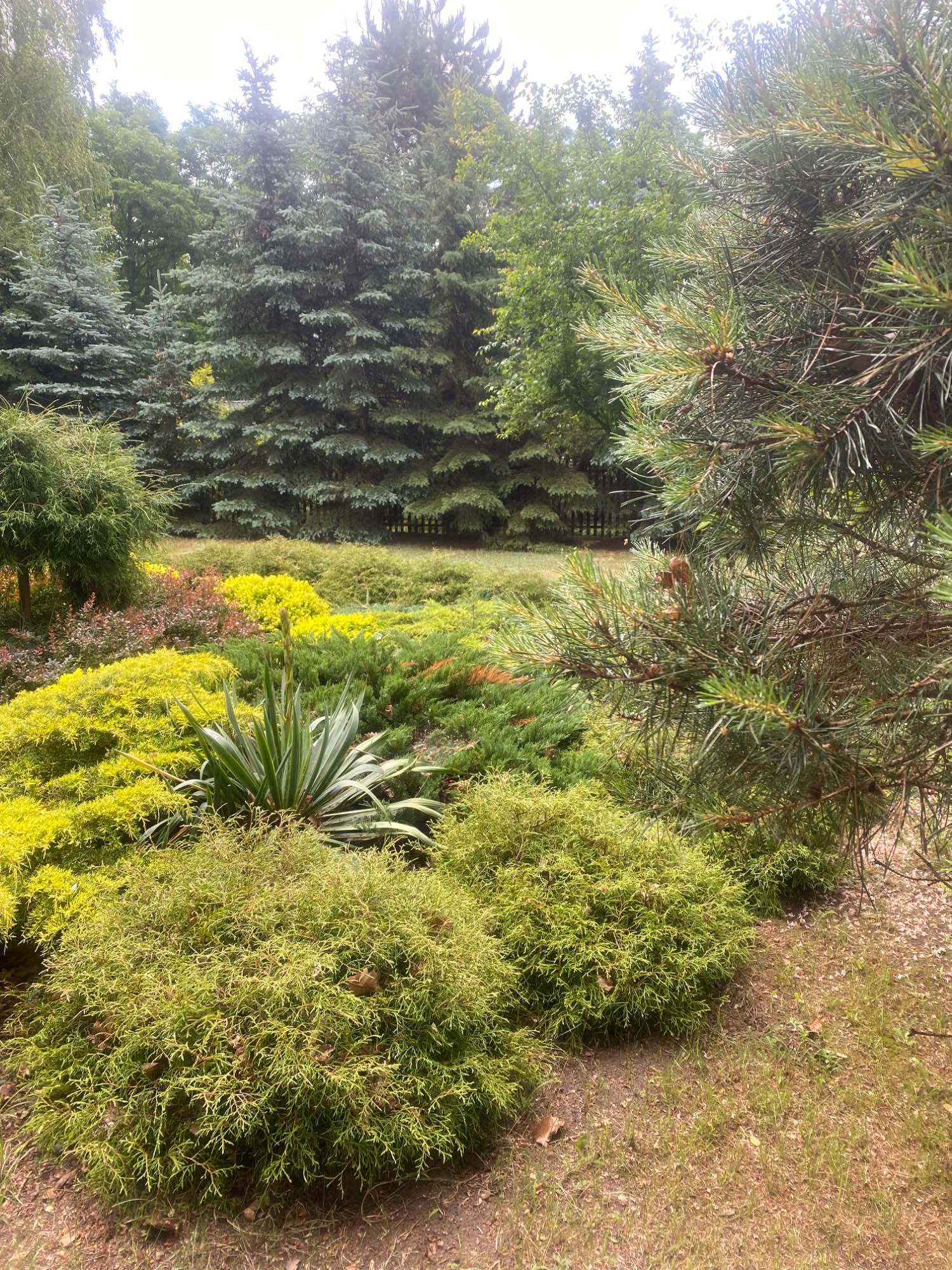 Działkę sprzedam lub zamienie Księża Wólka - zdjęcie 4