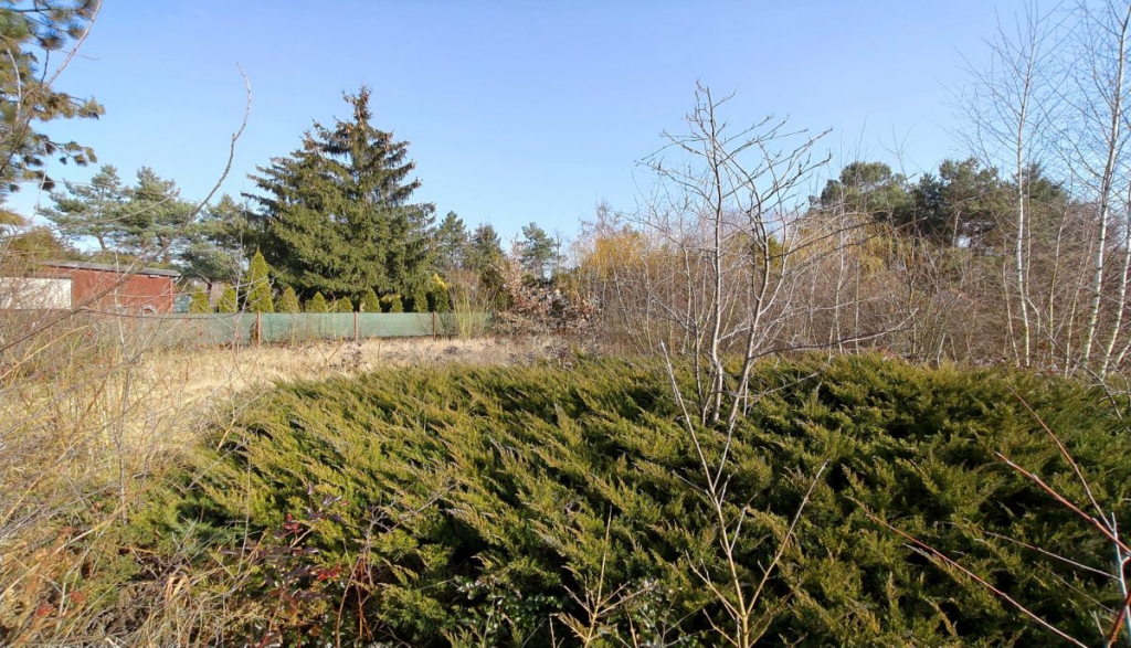 Działka na sprzedaż Strykowo Strykowo - zdjęcie 8