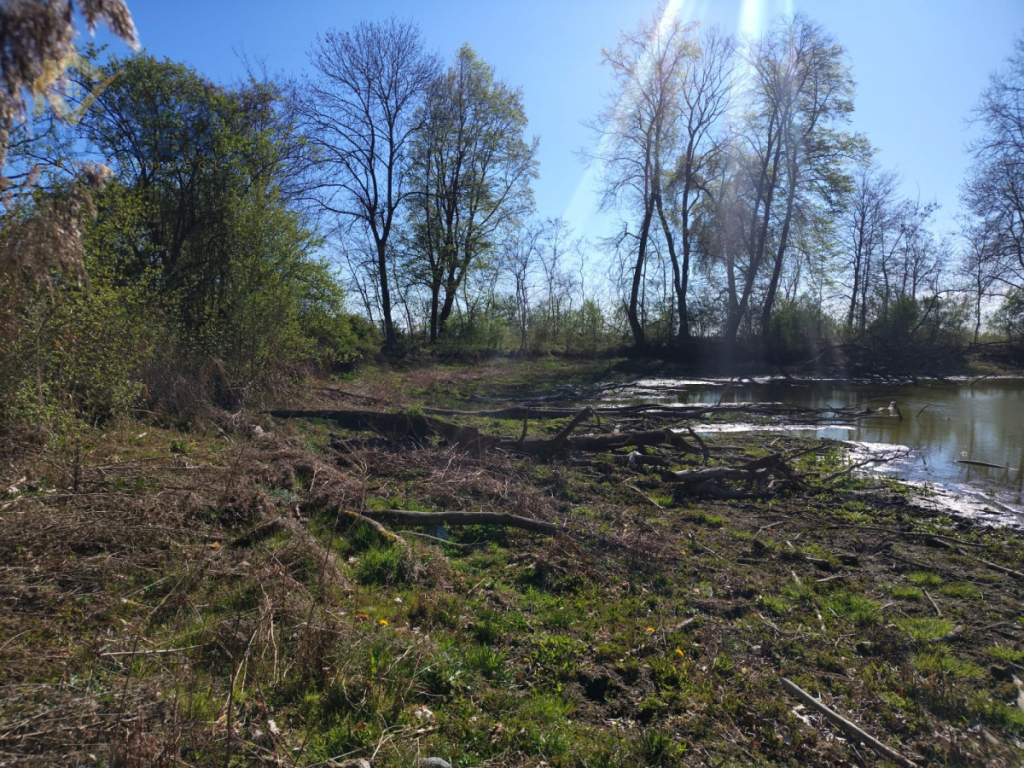 Działka na sprzedaż Sadowo Sadowo - zdjęcie 7