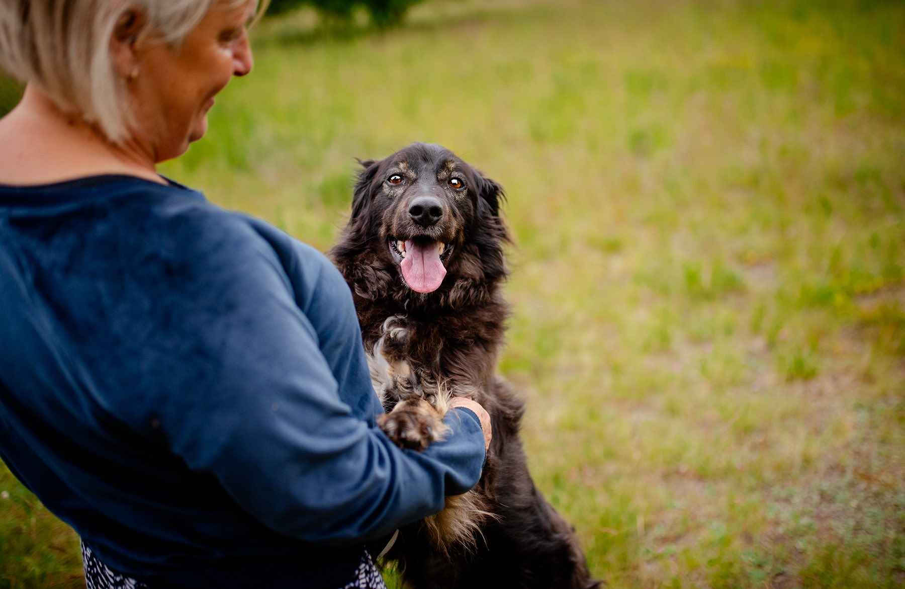 Roki - domowy, młody, przyjazny psiak! Olsztyn - zdjęcie 5