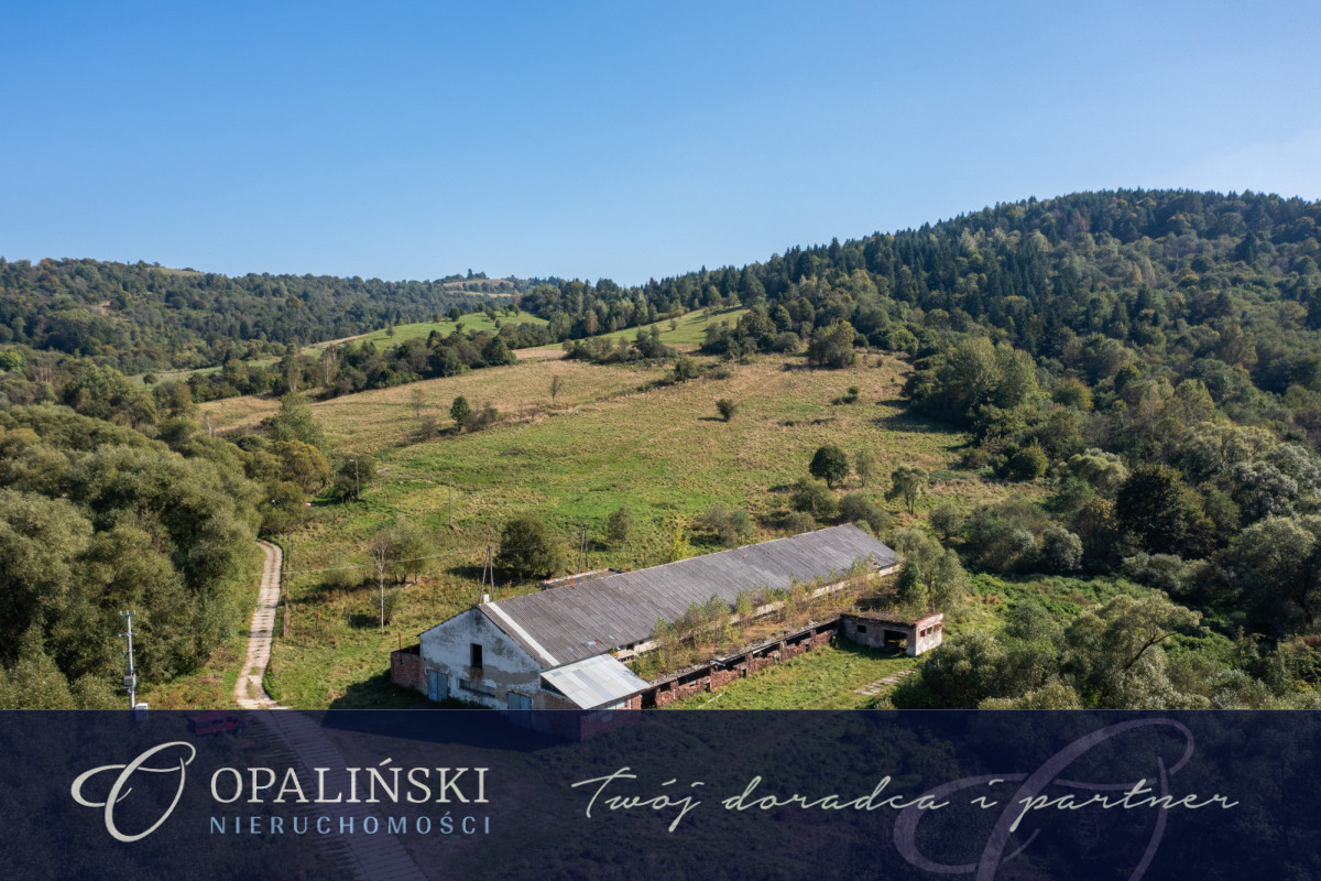 Potencjał inwestycyjny | Bieszczady | Magazyn | Krościenko - zdjęcie 1