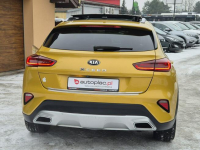 Kia XCeed 2020r, Full Opcja, Przepiękny, Bezwypadkowy* Stan BDB Radom - zdjęcie 7