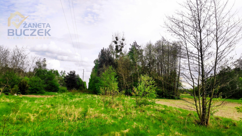 Sprzedam działkę rolną w Juliopolu 12 ha Juliopol - zdjęcie 2