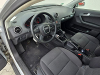 Audi A3 1.6 102kM * Sportback * klimatronic * bez rdzy * Raba Niżna - zdjęcie 7