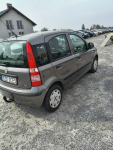 Fiat Panda 1.25 benzyna/ 2011r/ Klima/ Wspomaganie Majdan Sieniawski - zdjęcie 8