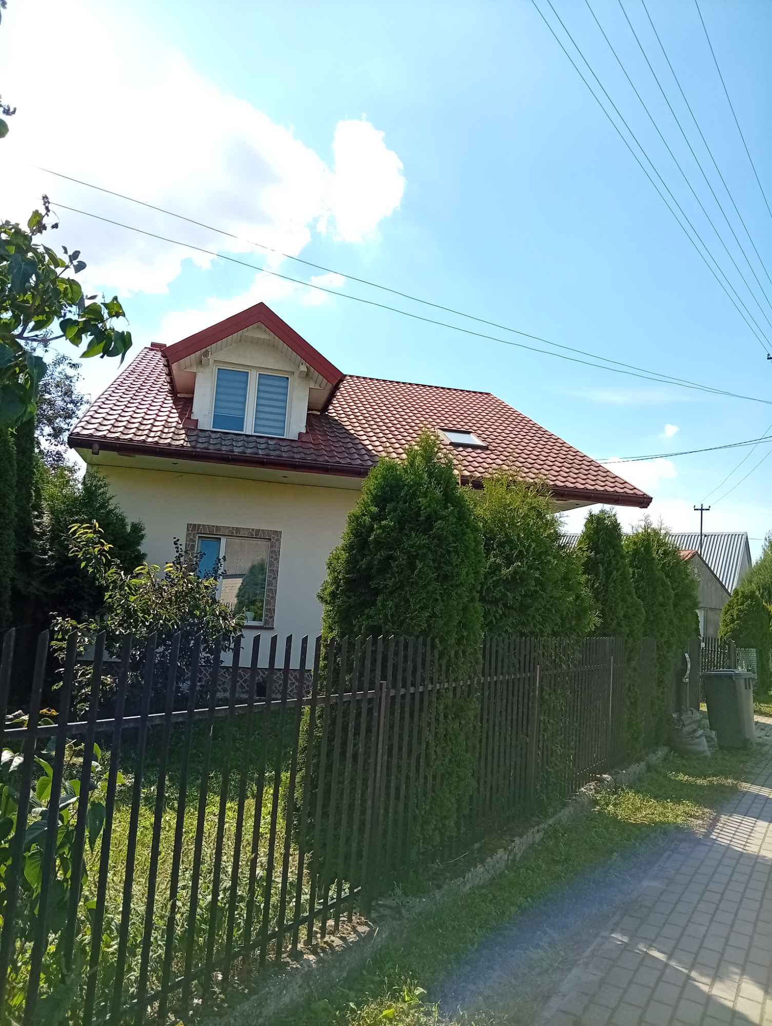Sprzedam Adamów - zdjęcie 2