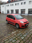 Fiat Panda Fiat Panda III, 1.2 Start&amp;Stop Easy Łowicz - zdjęcie 2