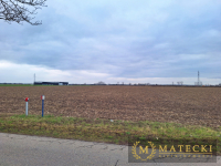 Działka AG  - 7 km od Poznania Tulce - zdjęcie 10