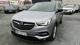 Opel Grandland X 2.0 Diesel Moc 177KM Automat LED Navi Elbląg - zdjęcie 10