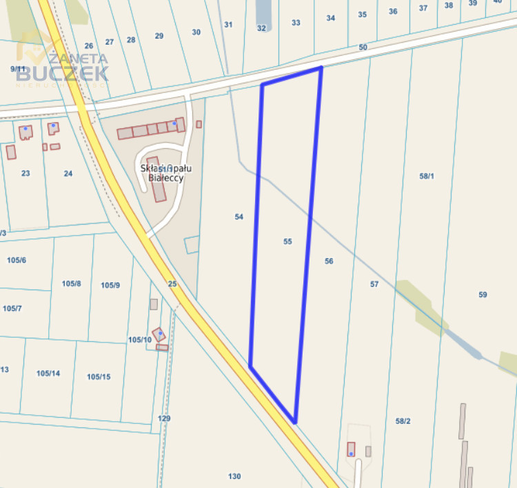 Działka rolna na Sprzedaż | Droga asfaltowa | Jeżówka - zdjęcie 2