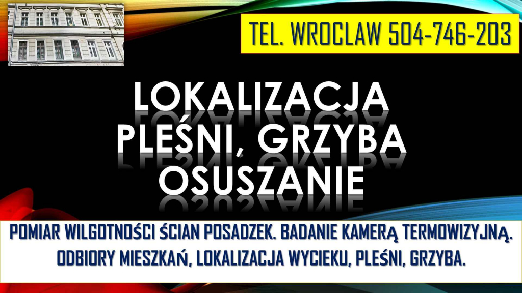 Sprawdzenie wilgotności mieszkania, tel. 504-746-203. Wrocław, wilgoci Psie Pole - zdjęcie 4