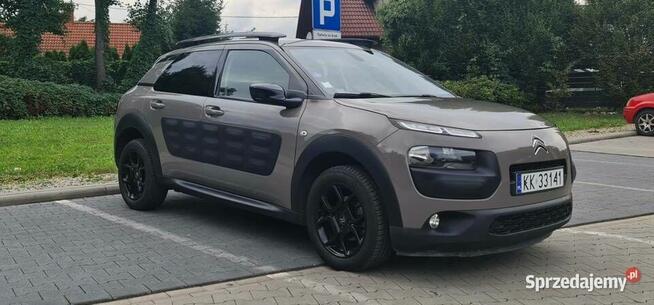 Cactus Przed zakupem sprawdz go w garażu samoobsługowym Kraków - zdjęcie 4