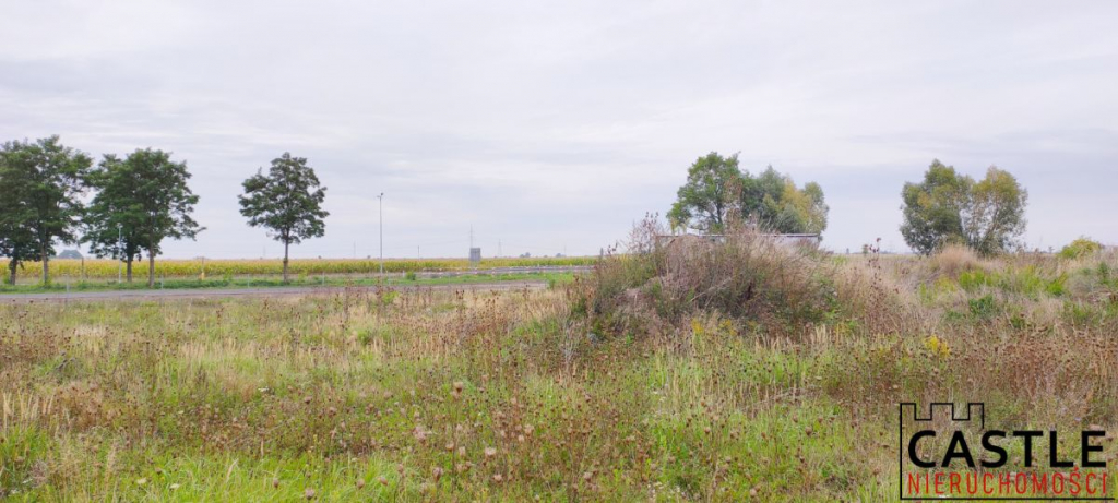 Działki pod budowę hali z biurem - inwestycja! Chomęcice - zdjęcie 9