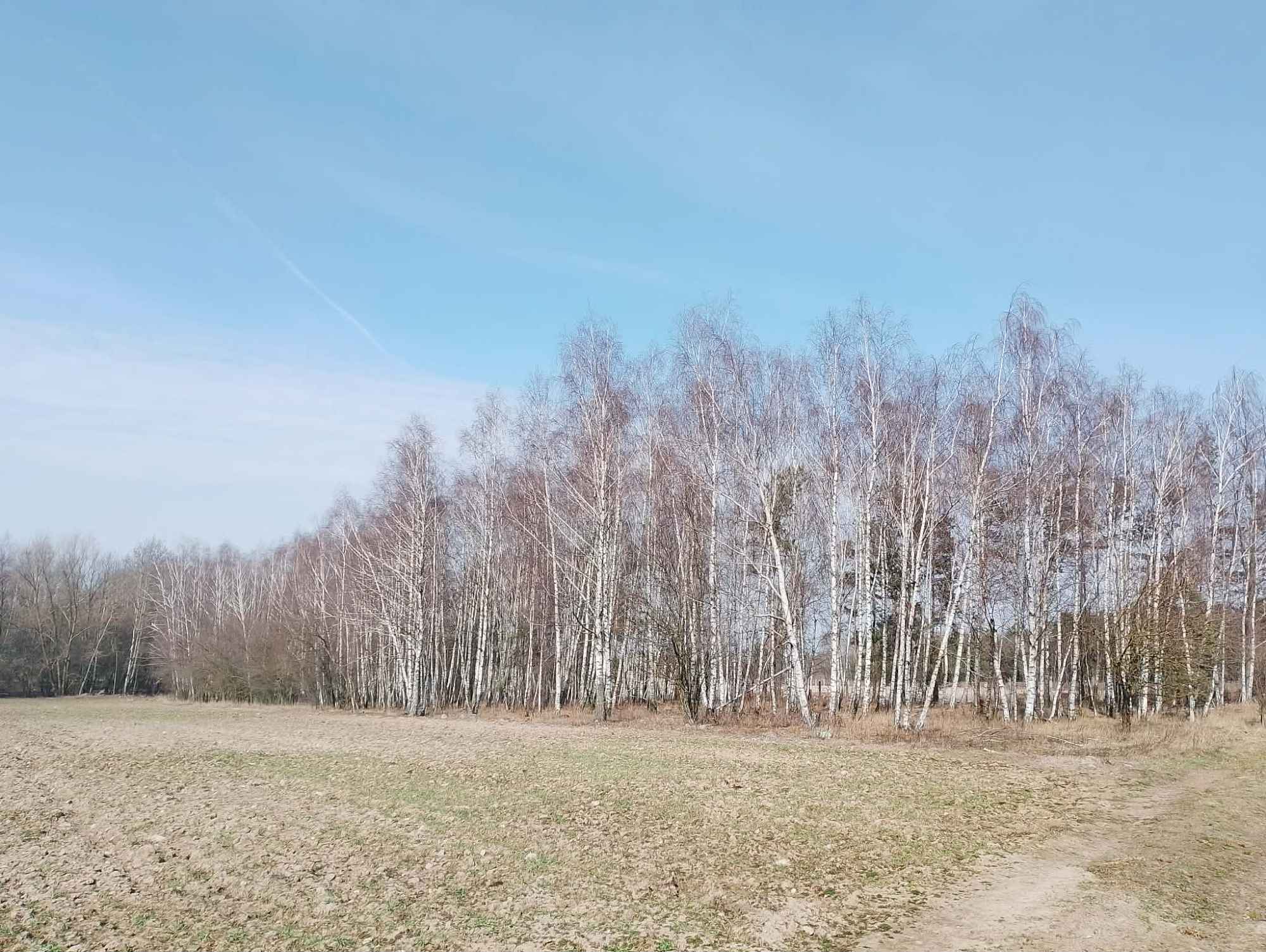Sprzedam Działki Rekreacyjno -Wypoczynkowe Krubin - zdjęcie 2