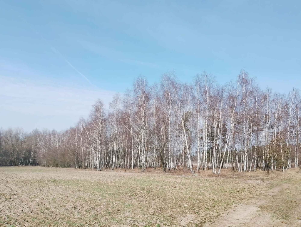 Sprzedam Działki Rekreacyjno -Wypoczynkowe Krubin - zdjęcie 2