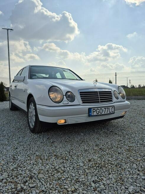 Mercedes E 280 2.8 Benzyna Grodzisk Wielkopolski - zdjęcie 2