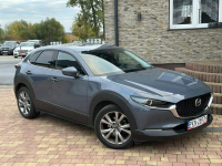Mazda CX-30 Sadlno - zdjęcie 5