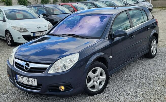 Opel Signum Skóra! Soczewka! Alu! Zamiana też! Zduńska Wola - zdjęcie 1