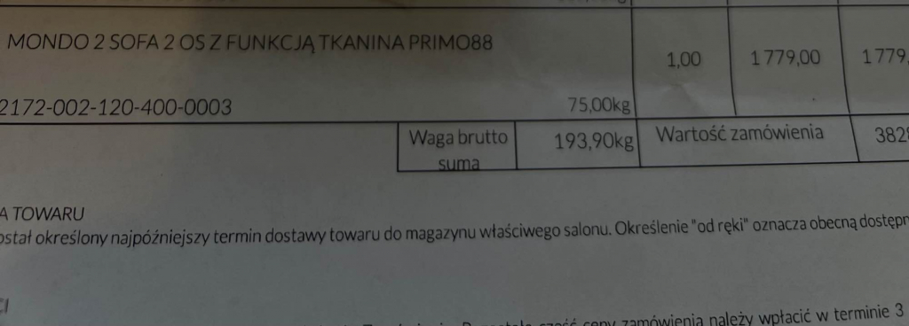 MONDO 2 Dwuosobowa sofa rozkładana typu amerykanka MONDO Połajewo - zdjęcie 6