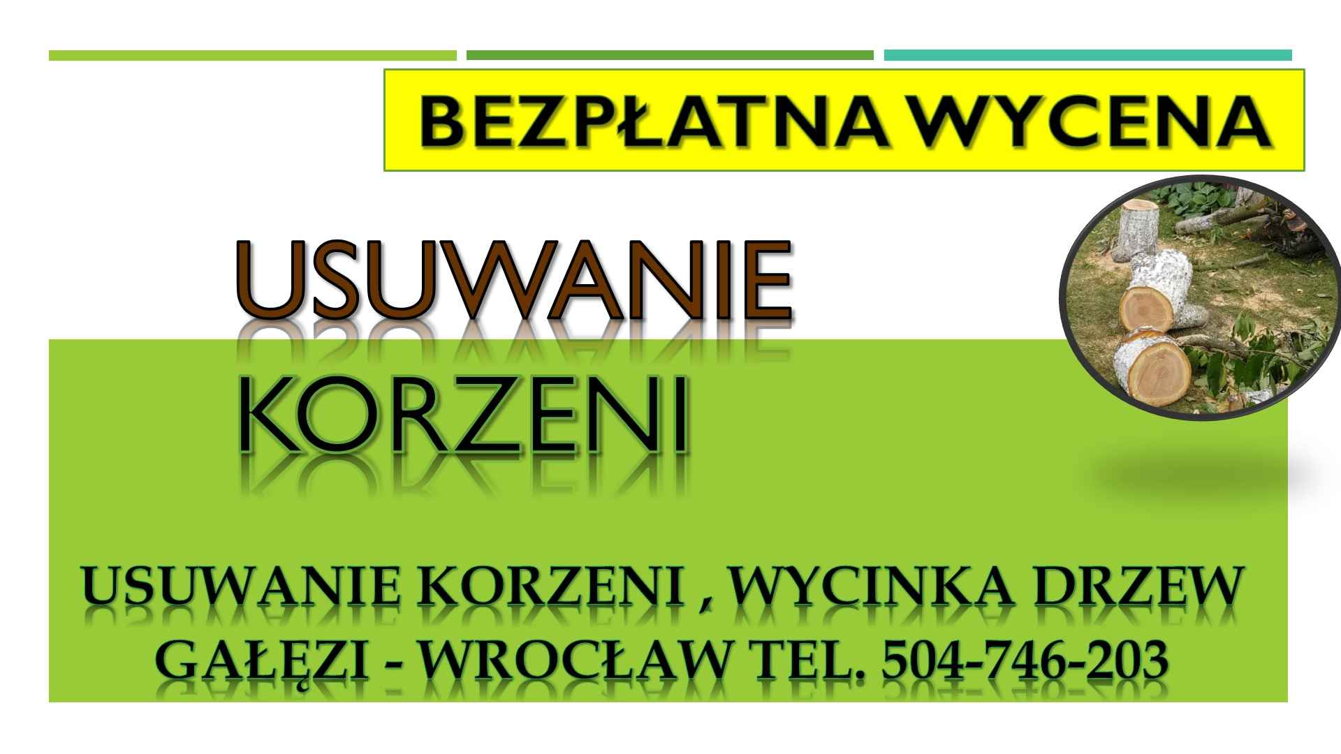 Usuwanie korzeni, cennik , tel. 504-746-203. Wrocław. pni, pnia drzewa Psie Pole - zdjęcie 1