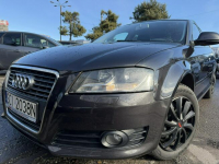 Audi A3 Klimatronic 2-stref, 2 kpl. kół, Ele szyby 4x, Ele lusterka Cieszyn - zdjęcie 2