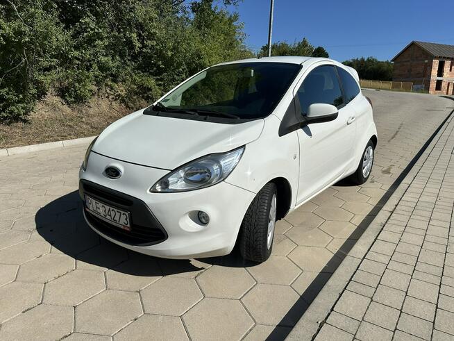 Ford KA 1.3TDCi 75KM Climtronic Niski przebieg Gostyń - zdjęcie 3