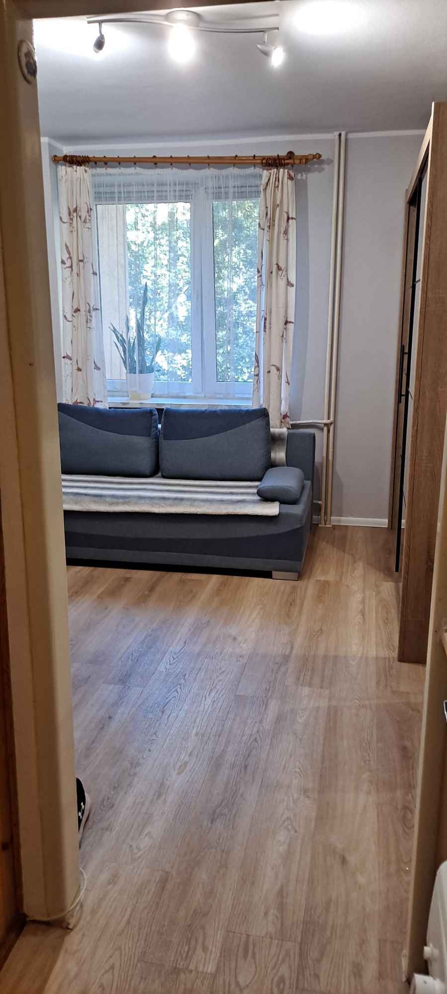 Ochota do nauki Ochota - zdjęcie 1