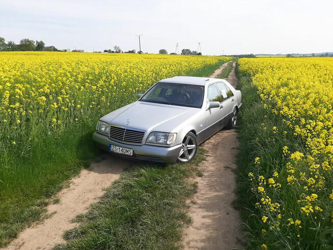 Piękny Mercedes W140 Szczecin - zdjęcie 3