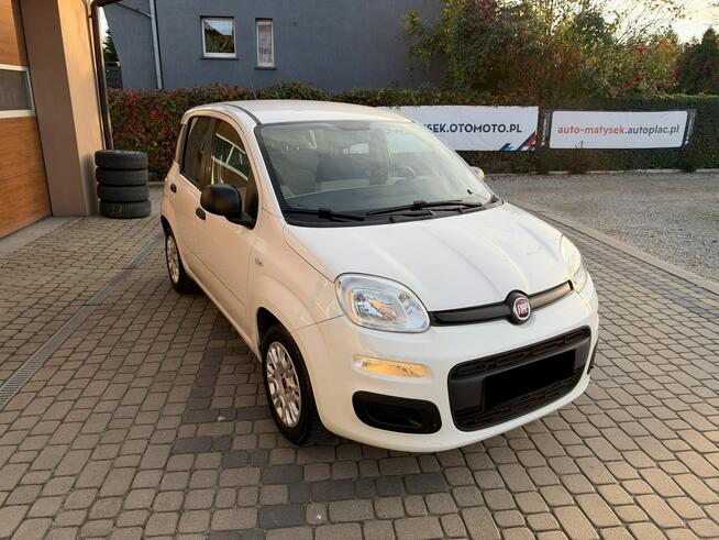 Fiat Panda 1,2 69KM  Klimatyzacja Orzech - zdjęcie 3