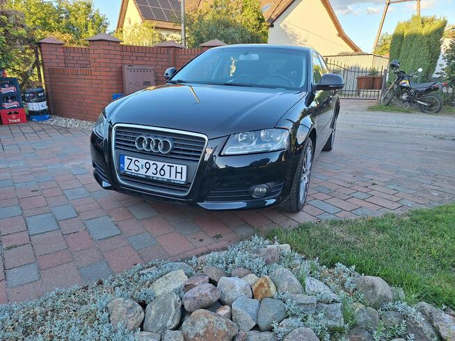 Audi A3 Klimatronik    Serwisowany Stan Bardzo Dobry Załom - zdjęcie 2