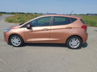 Ford Fiesta Pierwszy właściciel w Polsce 100% oryginał lakier Przasnysz - zdjęcie 7