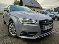 Audi A3 Klimatronic 2-stref, Podgrz. fotele, Navi, PDC, Bi-Xenon, Hak Cieszyn - zdjęcie 5