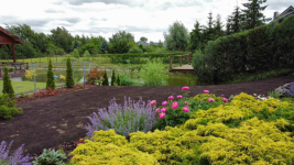 Usługi ogrodnicze, projekty, wycinka Gniezno,Poznań,Łubowo i okolice Gniezno - zdjęcie 6