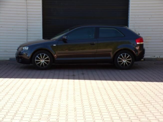 Audi A3 Klimatronic /BOSE /1,6 /mpi /102KM Mikołów - zdjęcie 10