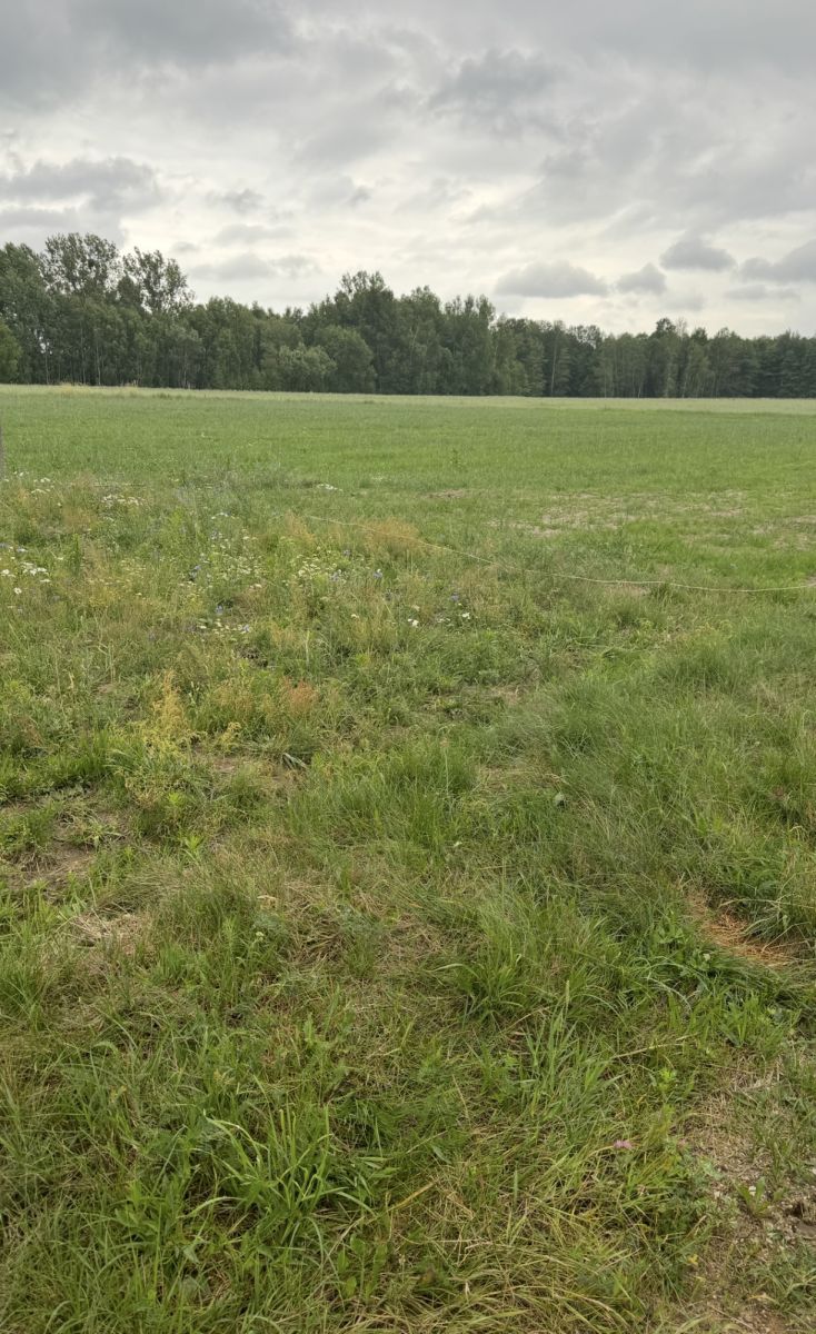 Atrakcyjne Działki Rafałówka Rafałówka - zdjęcie 5