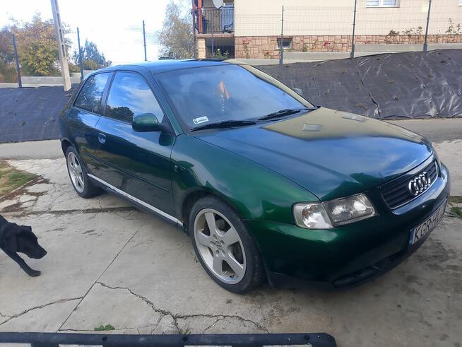 Audi A3 Niebocko - zdjęcie 1