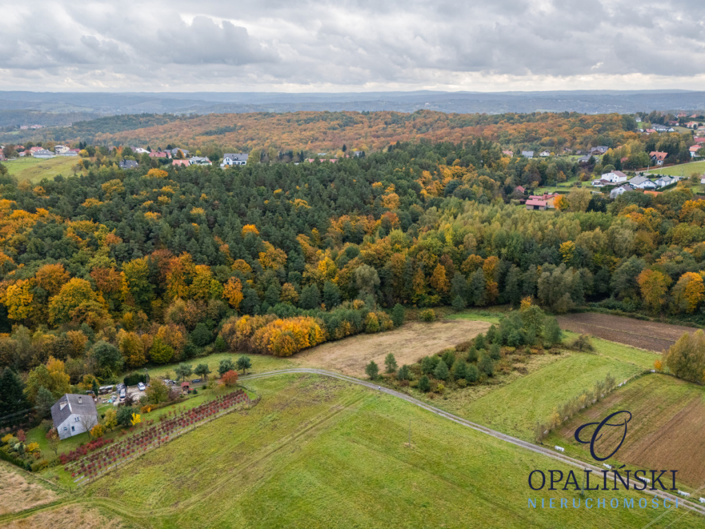 Działka pod lasem 16,80 ar z warunkami zabudowy Rzeszów - zdjęcie 12