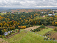 Działka pod lasem 16,80 ar z warunkami zabudowy Rzeszów - zdjęcie 12