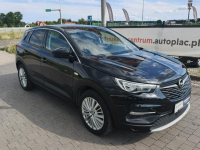 Opel Grandland X Lipówki - zdjęcie 6