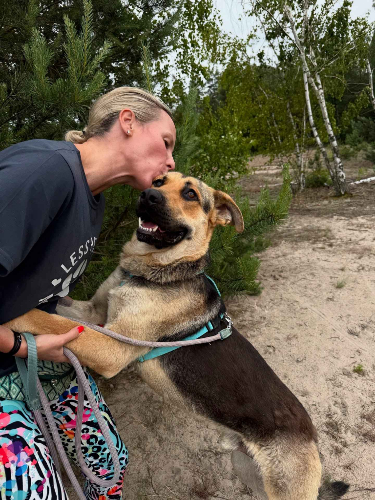 Magnus - młodziutki, kochany oczarkowaty dzieciak Olsztyn - zdjęcie 6