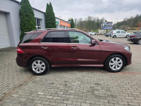 Mercedes ML 350 4Matic Ostrołęka - zdjęcie 4
