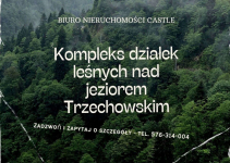 Działki na letni wypoczynek - okazja cenowa! Kaliska - zdjęcie 1