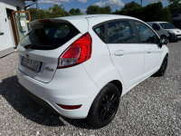 Ford Fiesta Pierwszy właściciel stan idealny Paradyż - zdjęcie 3